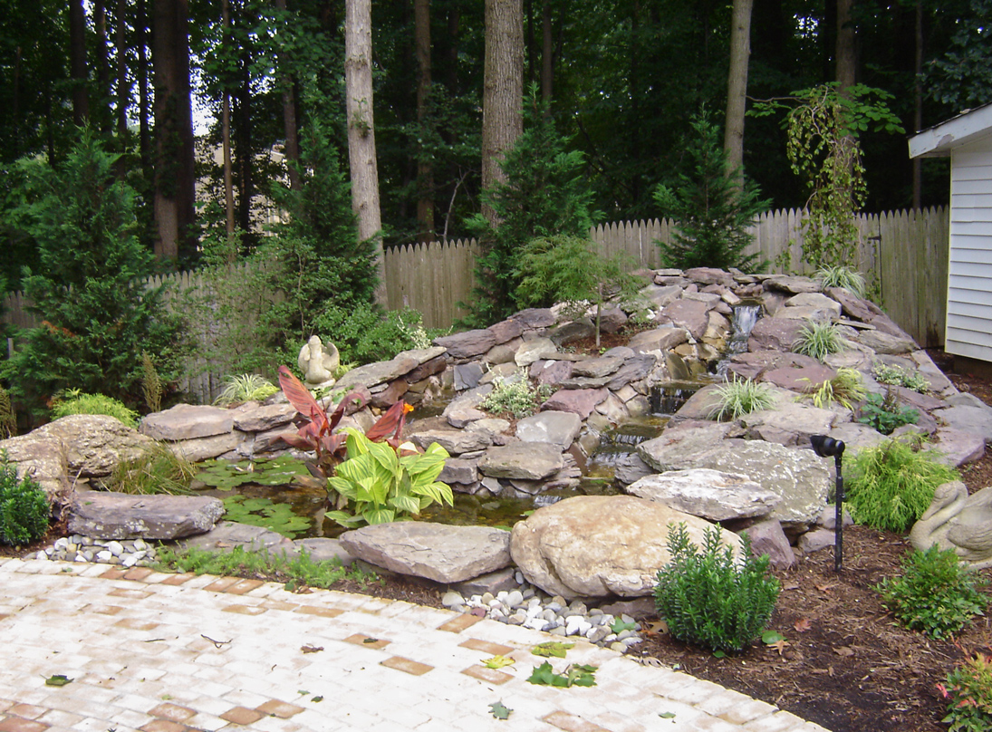Pond and Landscaping